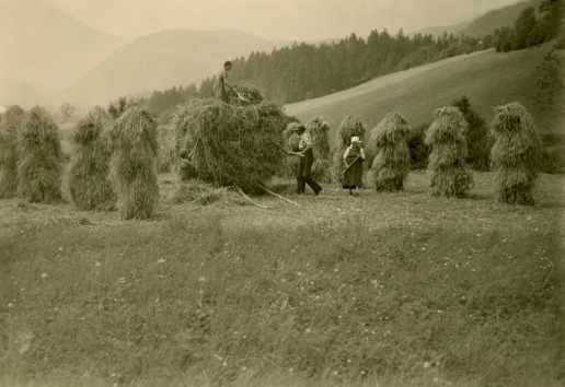 Abtenau 1944, Landwirt bei der Heuernte