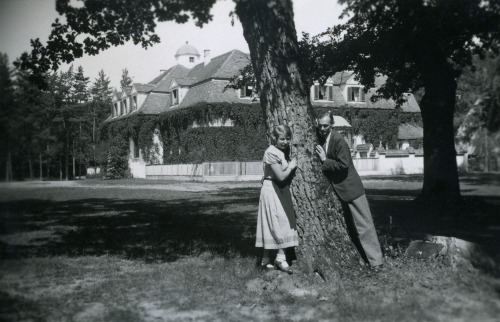 Hermannstadt 1933, Gasthof "Junger Wald"