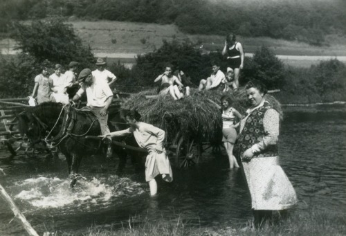 Bauer 1932, Heuernte